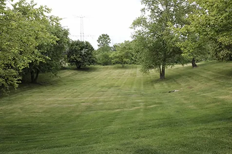 12936 West 159th Street Homer Glen IL 60491