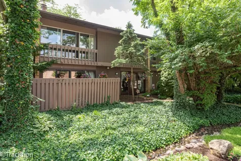 5917 Oakwood Drive Lisle IL 60532