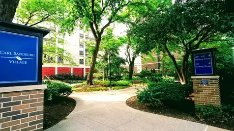 1455 North Sandburg Terrace Chicago IL 60610