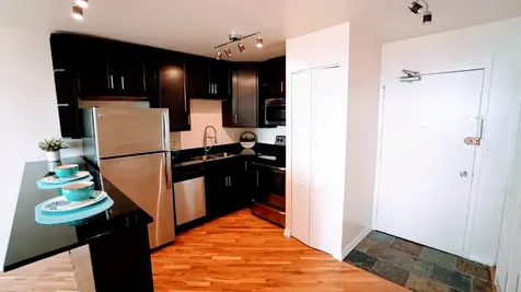 1455 North Sandburg Terrace Chicago IL 60610