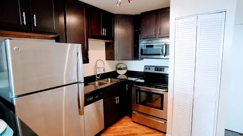 1455 North Sandburg Terrace Chicago IL 60610