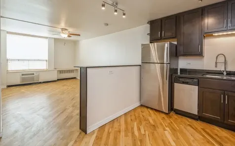 1455 North Sandburg Terrace Chicago IL 60610