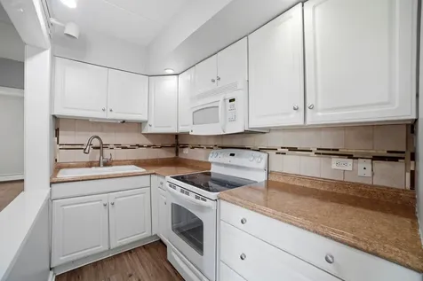 5125 Blodgett Avenue Downers Grove IL 60515