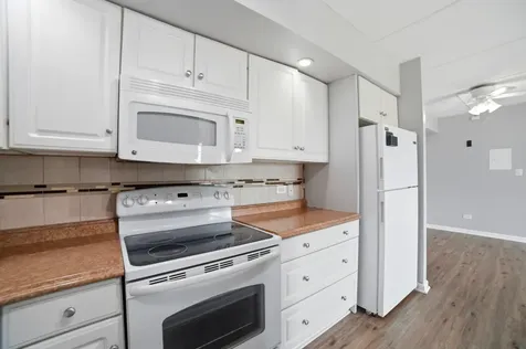 5125 Blodgett Avenue Downers Grove IL 60515