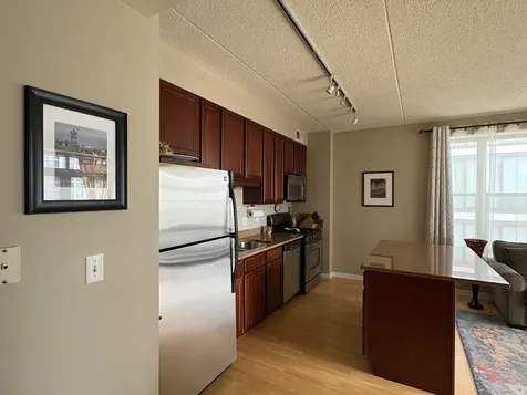 1250 South Indiana Avenue Chicago IL 60605