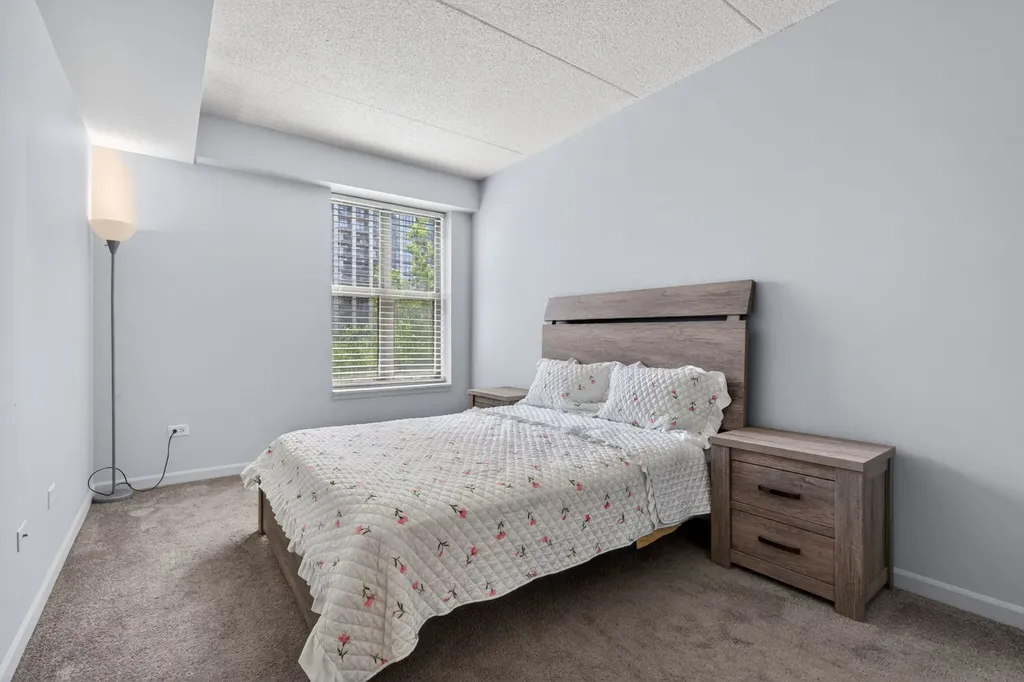 1250 South Indiana Avenue Chicago IL 60605