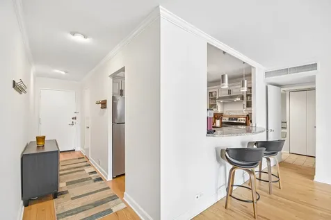 260 East Chestnut Street Chicago IL 60611