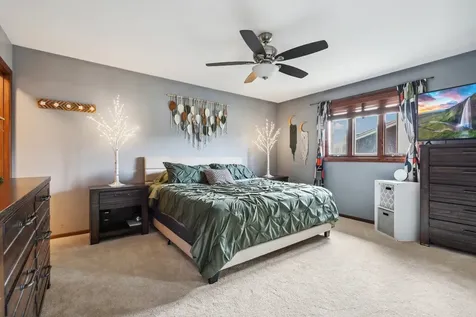15622 South Trailside Drive Homer Glen IL 60491
