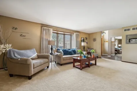 15622 South Trailside Drive Homer Glen IL 60491