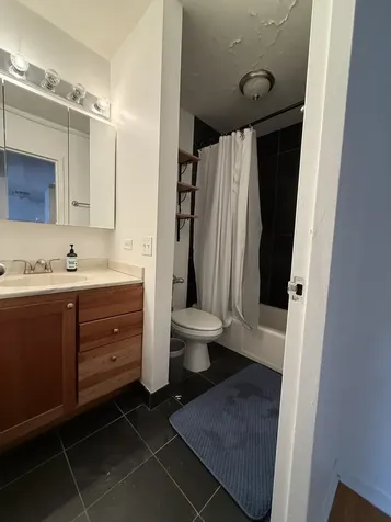 222 East Pearson Street Chicago IL 60611