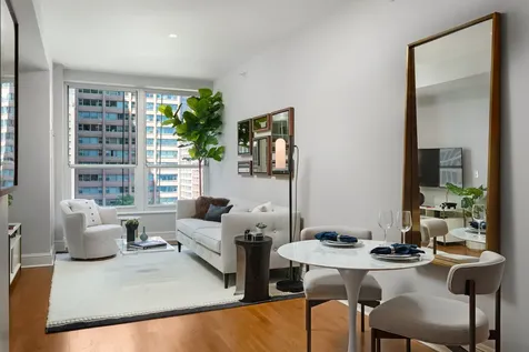 850 North Lake Shore Drive Chicago IL 60611