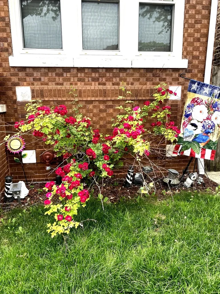 6433 South Talman Avenue Chicago IL 60629