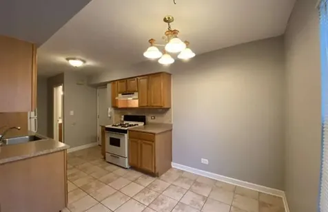 132 Brookwood Court Vernon Hills IL 60061
