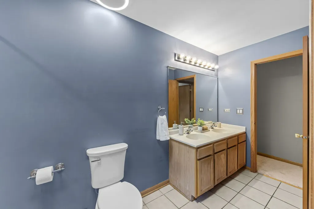2317 Gray Hawk Drive Plainfield IL 60586