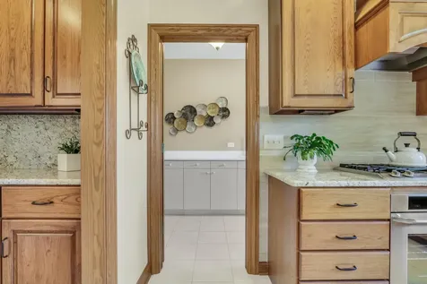 3011 Cyprus Court Buffalo Grove IL 60089
