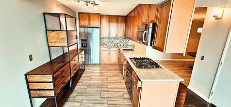 9655 Woods Drive Skokie IL 60077