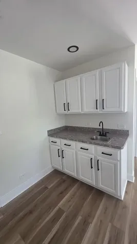 8867 Mobile Avenue Oak Lawn IL 60453
