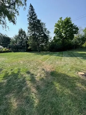 33 East Walnut Avenue Des Plaines IL 60016