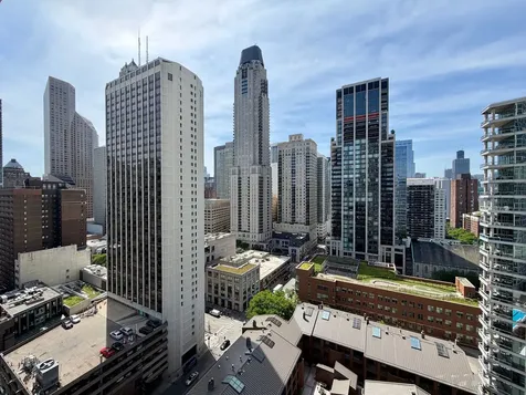 1030 North State Street Chicago IL 60610