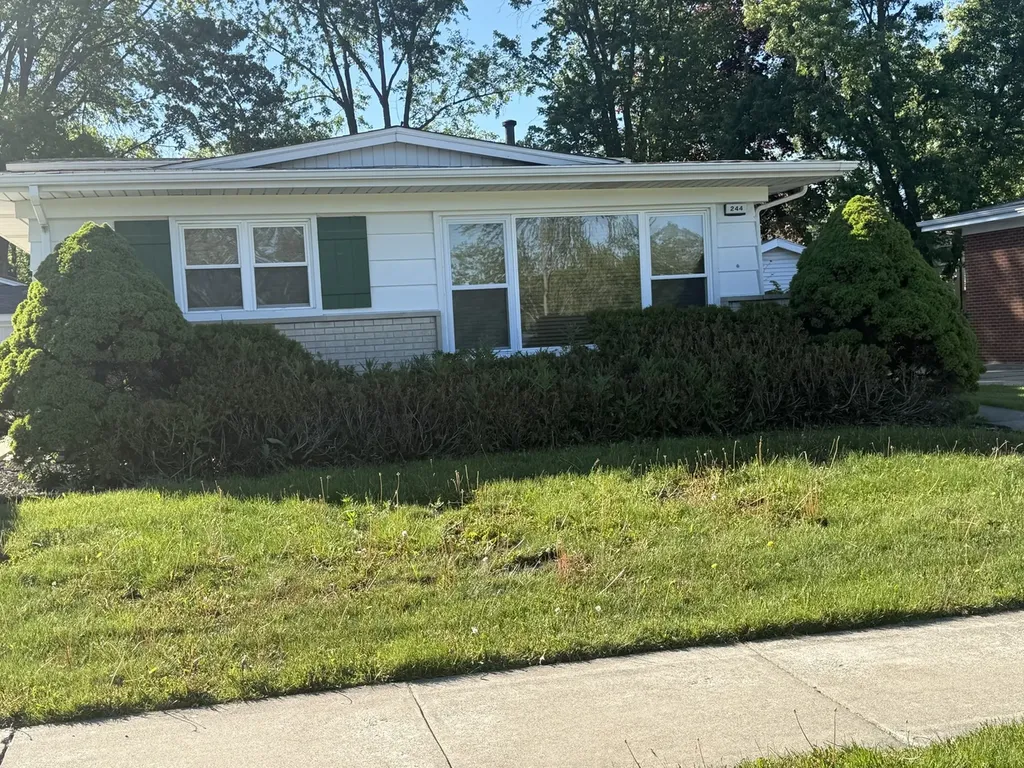 244 North Park Drive Glenwood IL 60425
