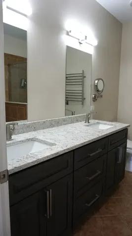 10705 Gigi Drive Orland Park IL 60462