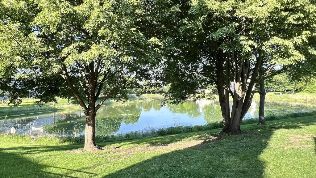 3081 Handley Court Lisle IL 60532