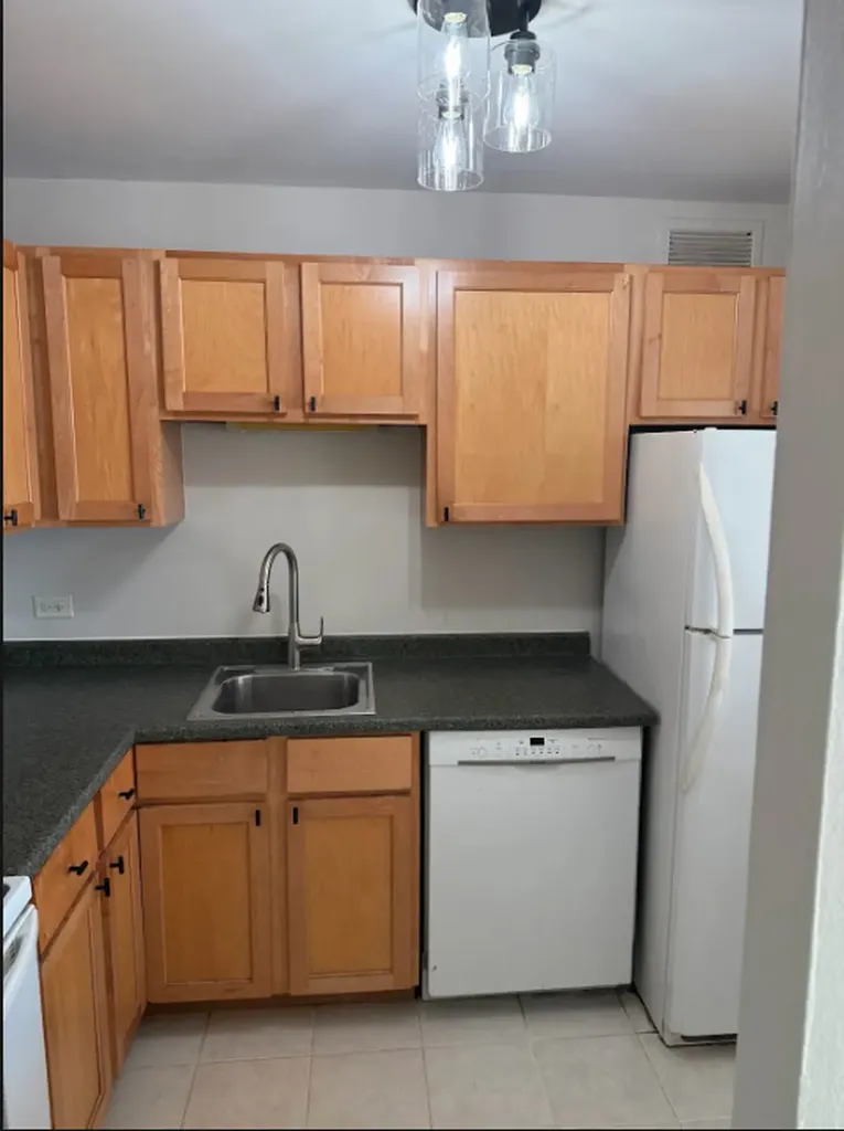 3930 North Pine Grove Avenue Chicago IL 60613
