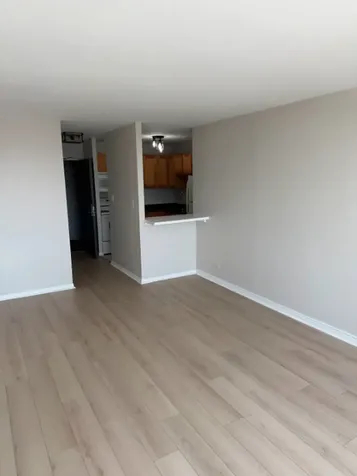 3930 North Pine Grove Avenue Chicago IL 60613
