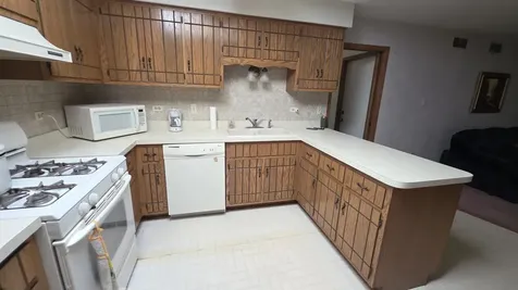 8442 Rob Roy Drive Orland Park IL 60462