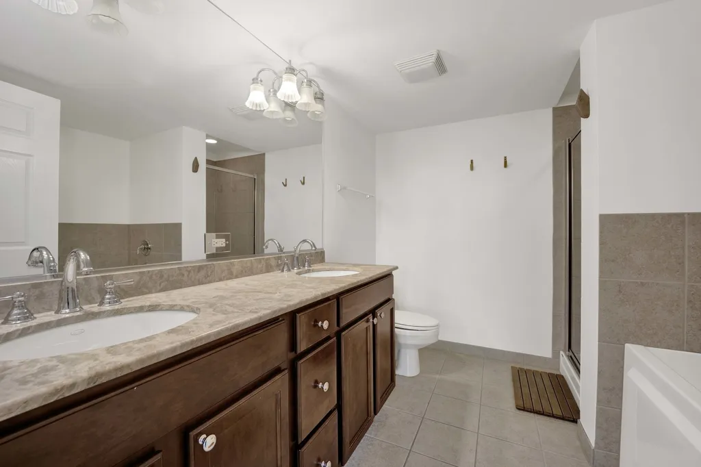 1069 West 14th Place Chicago IL 60608