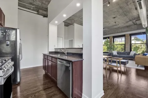 1069 West 14th Place Chicago IL 60608