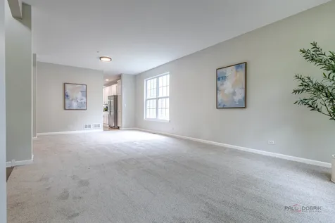 8095 Boulder Court Long Grove IL 60047