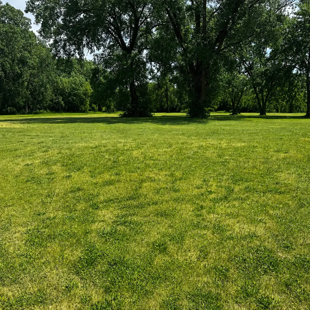 0000 Grove Street Aurora IL 60505