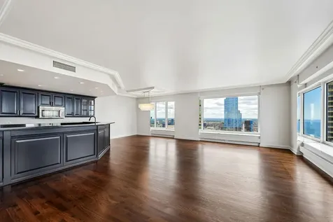 161 East Chicago Avenue Chicago IL 60611