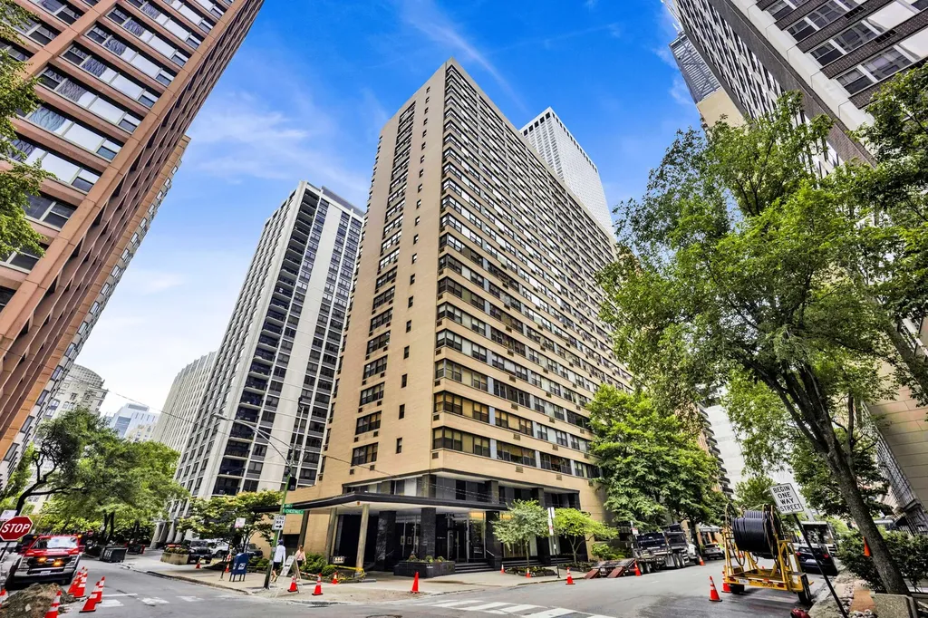 850 North Dewitt Place Chicago IL 60611