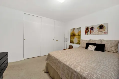 850 North Dewitt Place Chicago IL 60611