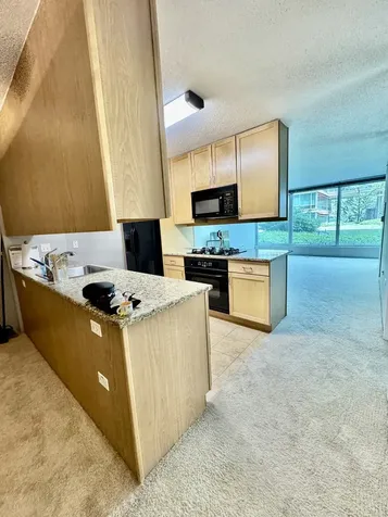 9655 Woods Drive Skokie IL 60077