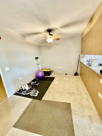 9655 Woods Drive Skokie IL 60077