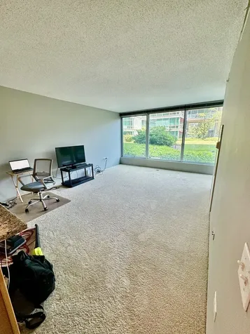 9655 Woods Drive Skokie IL 60077