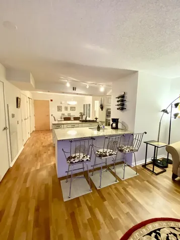9725 Woods Drive Skokie IL 60077