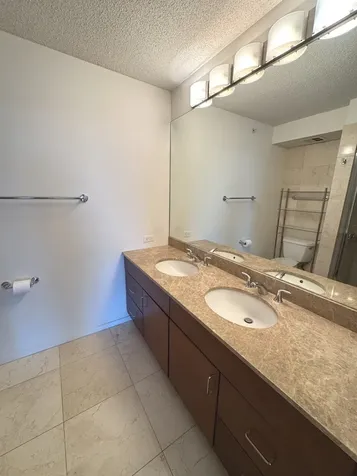 9725 Woods Drive Skokie IL 60077