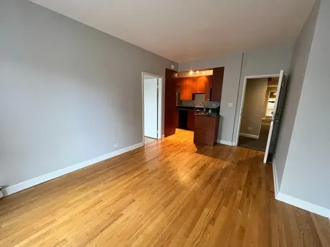 732 West Bittersweet Place Chicago IL 60613