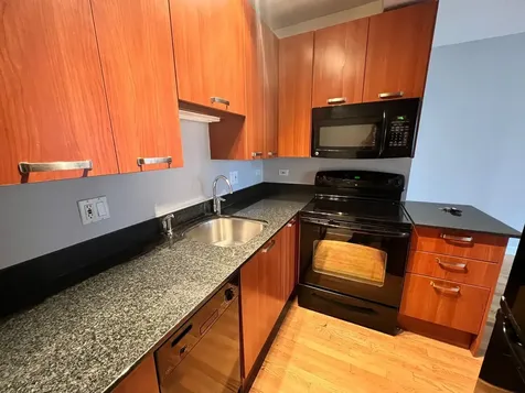 732 West Bittersweet Place Chicago IL 60613