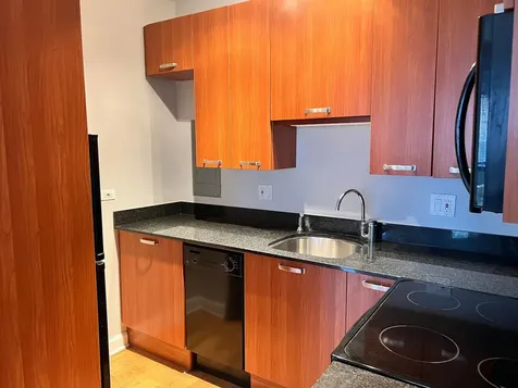 732 West Bittersweet Place Chicago IL 60613