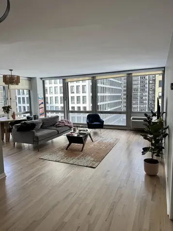 880 North Lake Shore Drive Chicago IL 60611