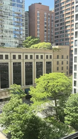 880 North Lake Shore Drive Chicago IL 60611
