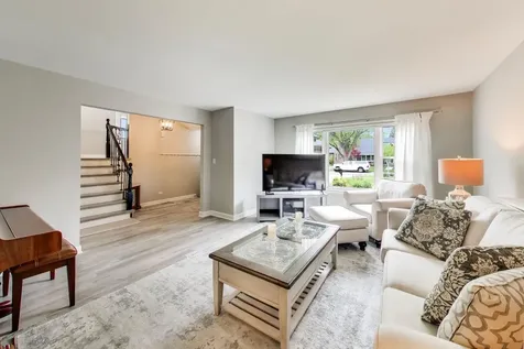313 South Hi Lusi Avenue Mount Prospect IL 60056