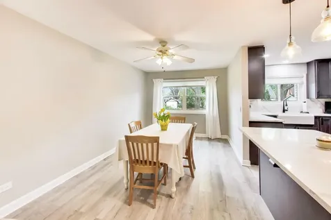 313 South Hi Lusi Avenue Mount Prospect IL 60056