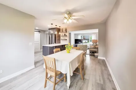 313 South Hi Lusi Avenue Mount Prospect IL 60056