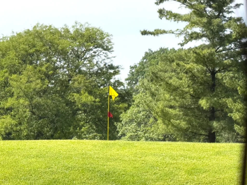 8733 Golfview Drive Orland Park IL 60462